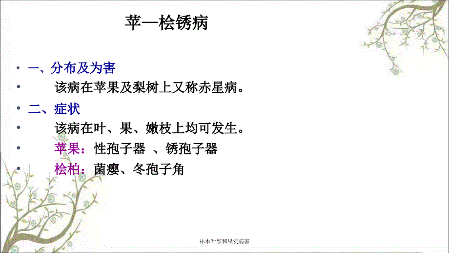 林木叶部和果实病害课件_第4页