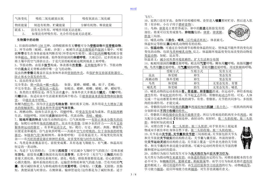 生物中学考试复习必背知识点全部_第3页