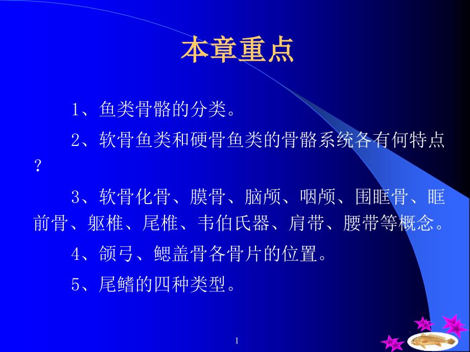 最新最新0904硬骨鱼的骨骼系统PPT文档PPT文档_第1页