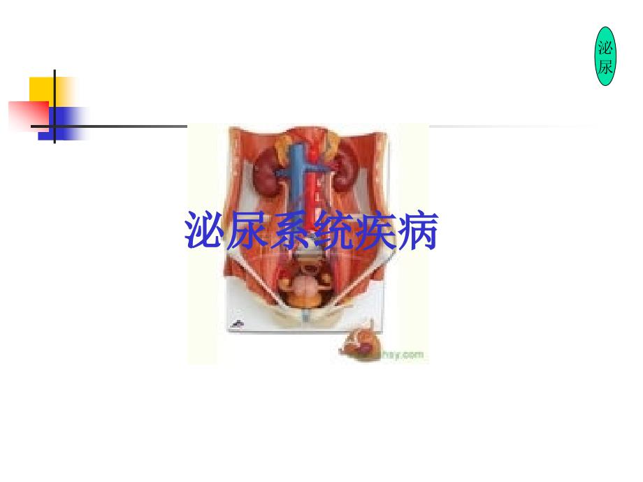 《内科学》复习--下集_第1页