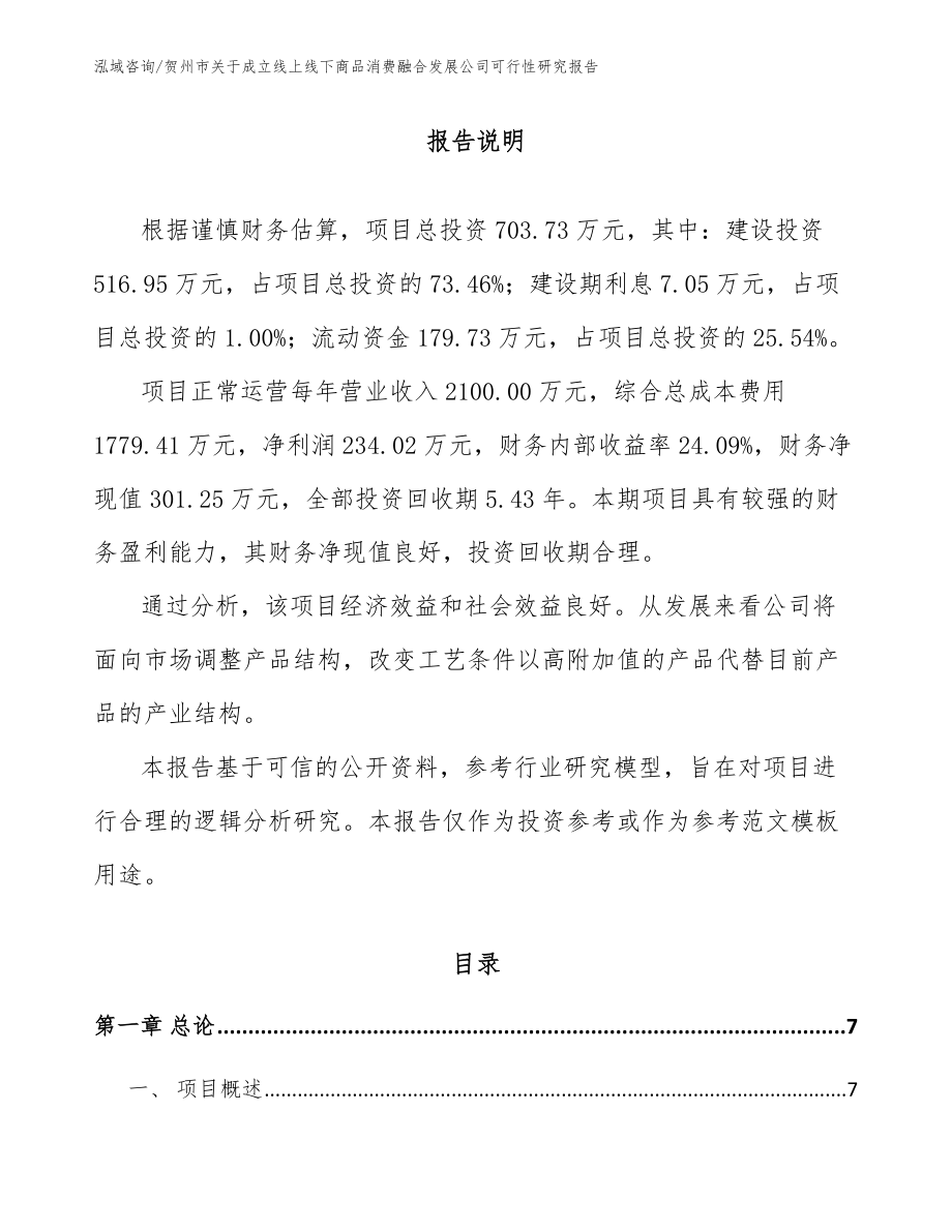 贺州市关于成立线上线下商品消费融合发展公司可行性研究报告【范文】_第2页