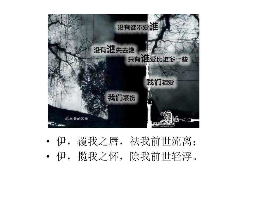 执子之手舆子偕老课件_第4页