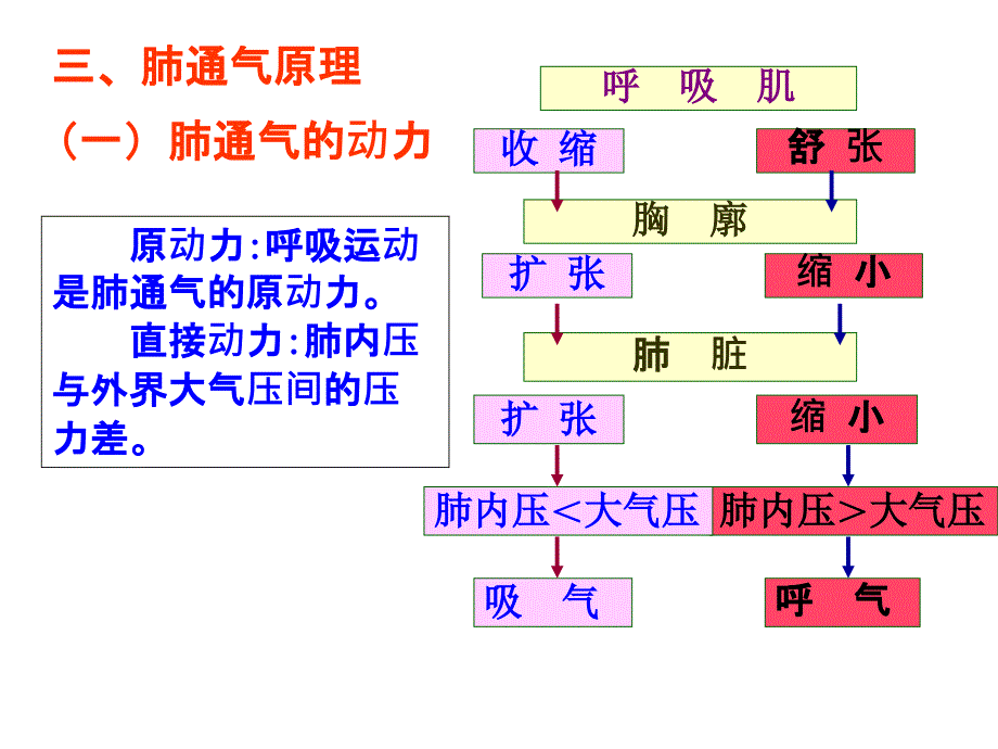 气体在血液中的运输课件_第4页