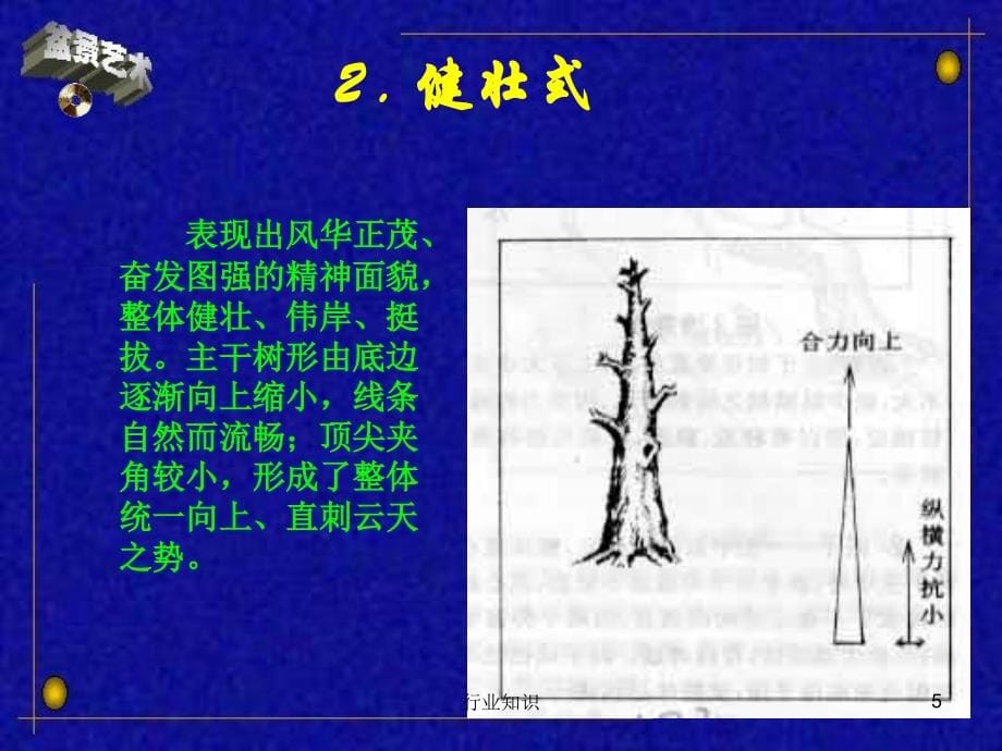 树桩盆景造型[业界荟萃]_第5页