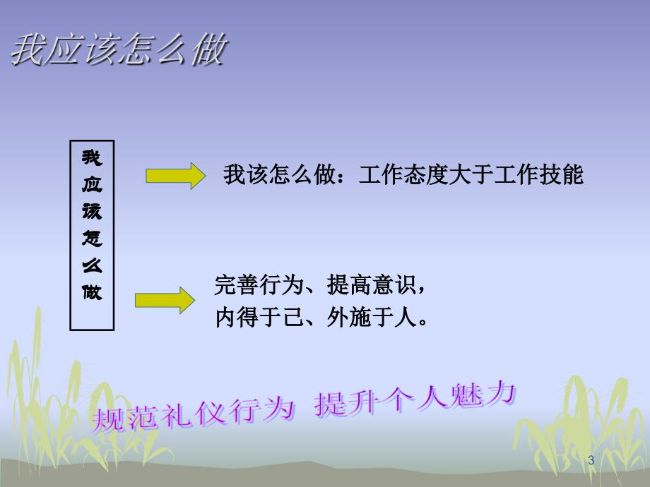 公务礼仪2小时_第3页