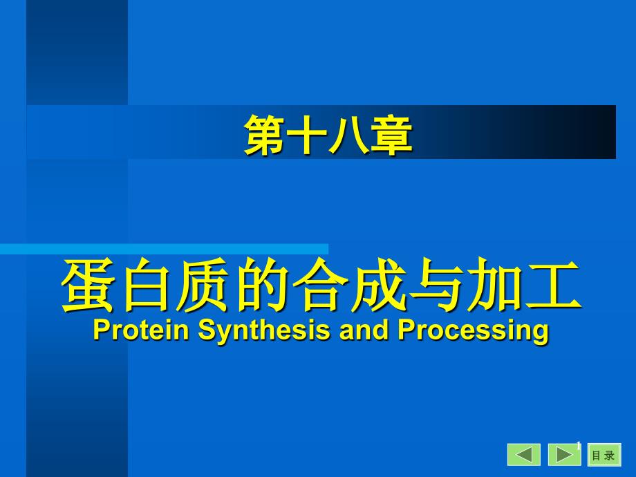 生物化学与分子生物学八年制课件19_第1页