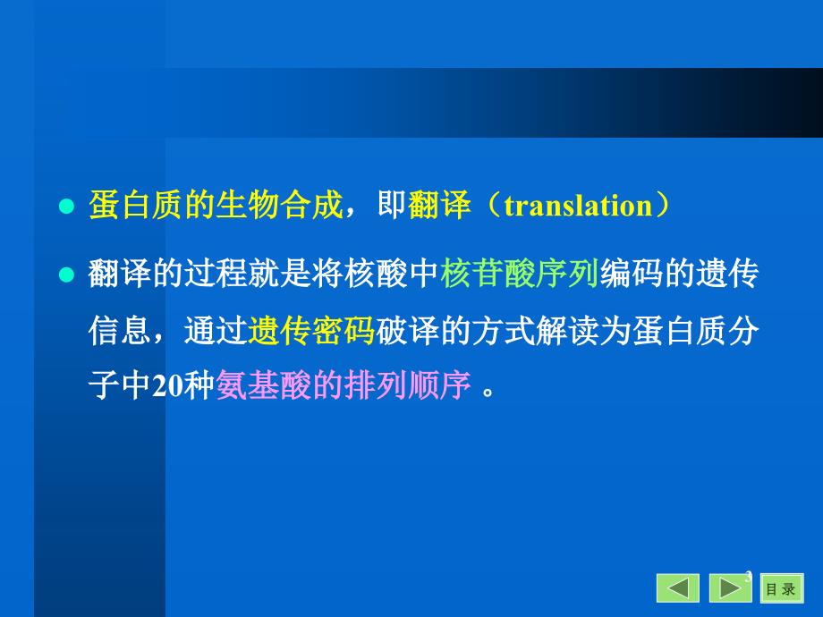 生物化学与分子生物学八年制课件19_第3页