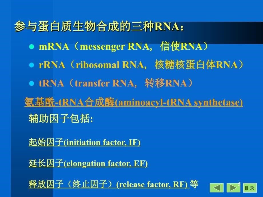 生物化学与分子生物学八年制课件19_第5页