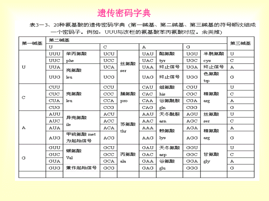 4第三章第六节遗传密码_第4页