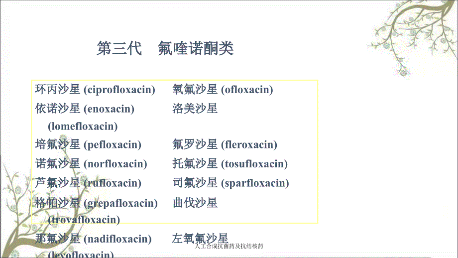 人工合成抗菌药及抗结核药_第4页