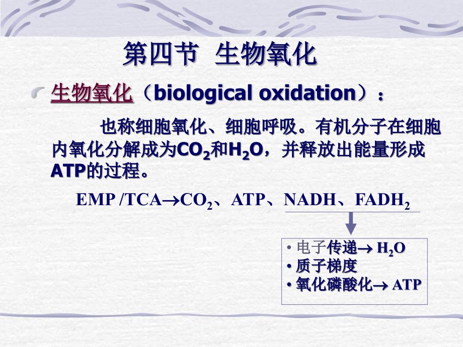 氧化还原电势PPT课件_第2页