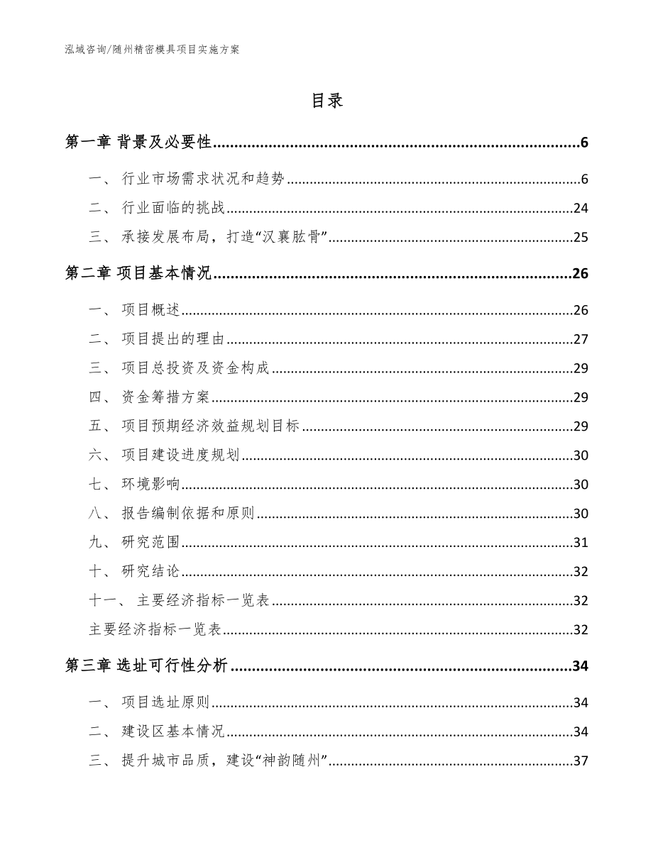 随州精密模具项目实施方案_第1页