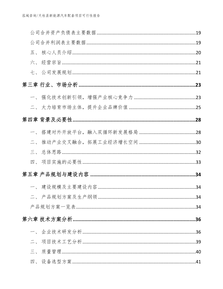 天柱县新能源汽车配套项目可行性报告（模板范本）_第4页