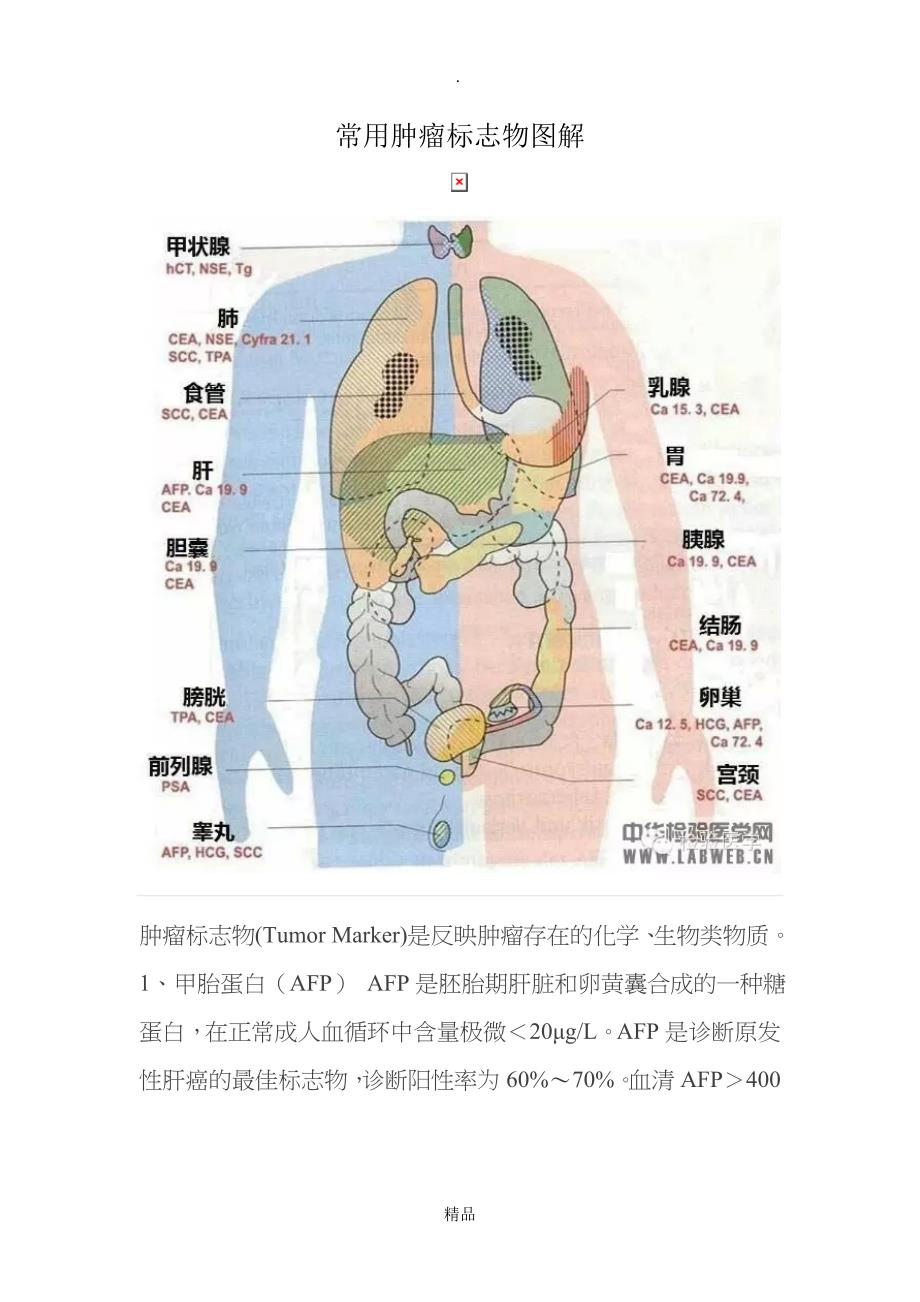 常用肿瘤标志物图解_第1页