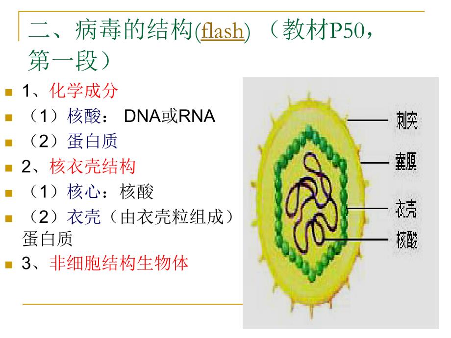 病毒——非细胞形态的生物(新)_第4页