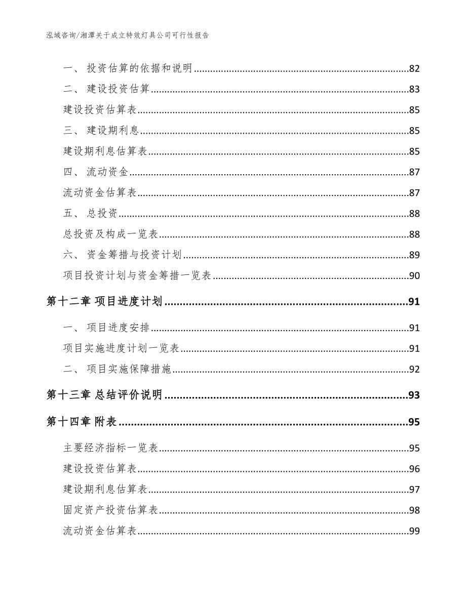 湘潭关于成立特效灯具公司可行性报告（参考模板）_第5页