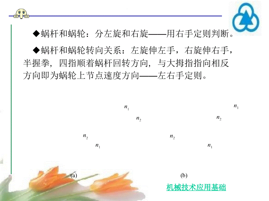 蜗轮蜗杆传动概要课件_第3页