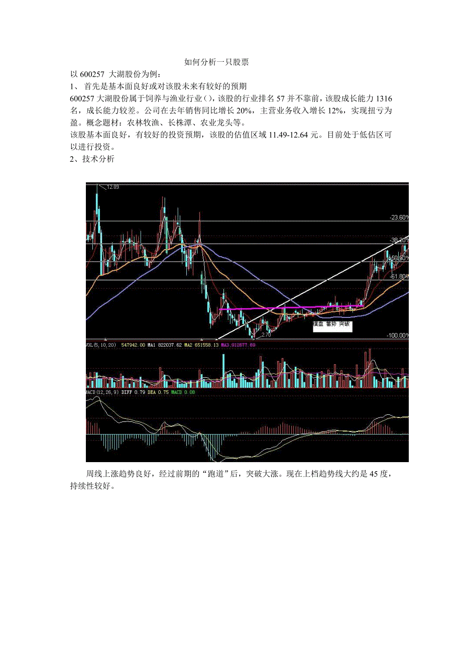 如何分析一只股票_第1页