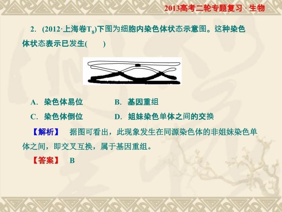 高考二轮专题复习生物课件变异、育种与进化.ppt_第5页