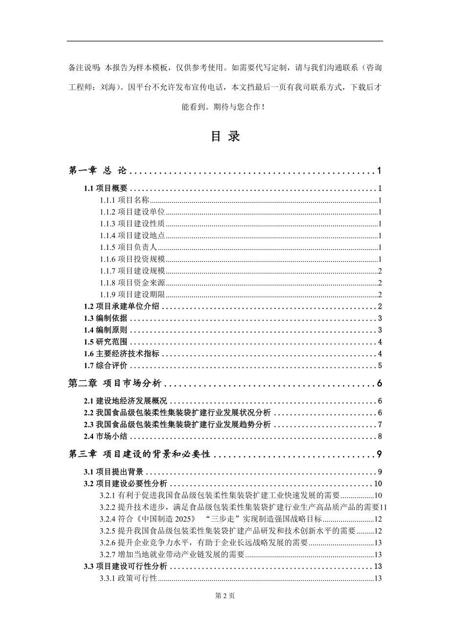 食品级包装柔性集装袋扩建项目可行性研究报告模板立项审批_第2页