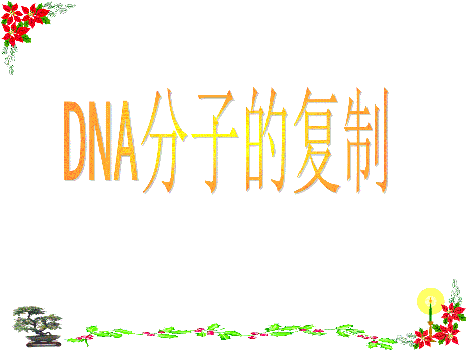 DNA分子的复制课件_第1页