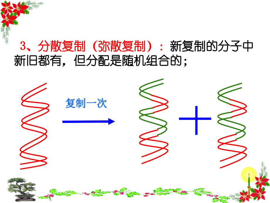 DNA分子的复制课件_第4页