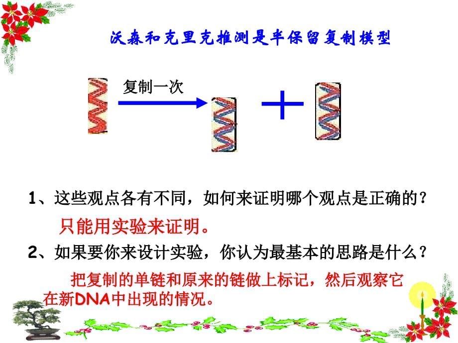 DNA分子的复制课件_第5页