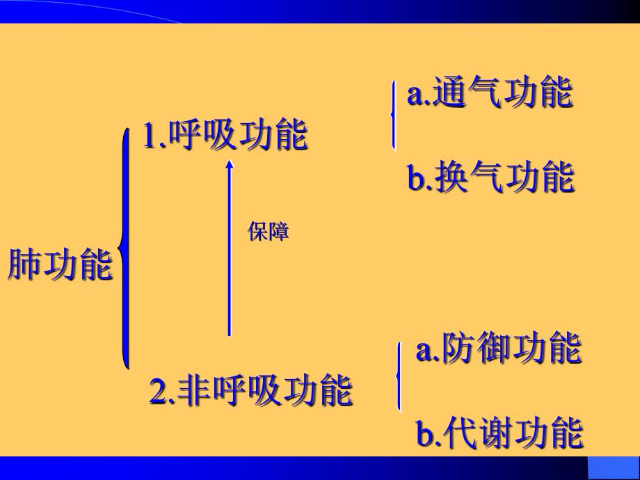 肺功能检测与临床应用_第2页