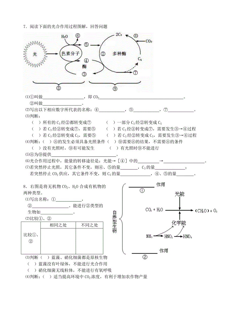 高一生物 能量之源－－光与光合作用同步教学资料_第2页