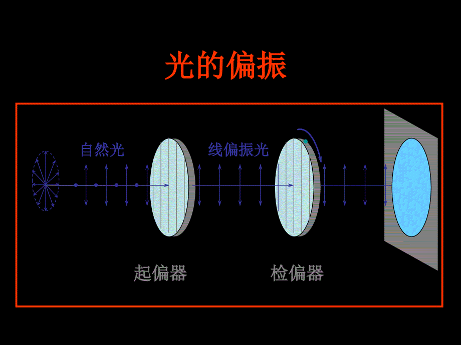 光的偏振起偏和检偏_第1页