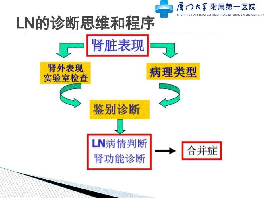 狼疮性肾炎的诊断新进展精要_第5页