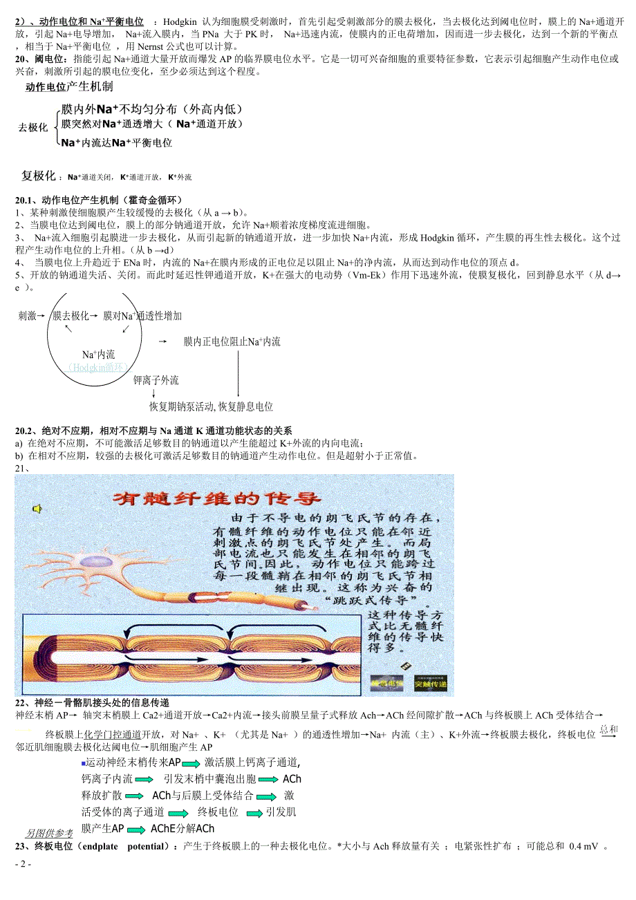 m动物生理重点总括6.0_第2页