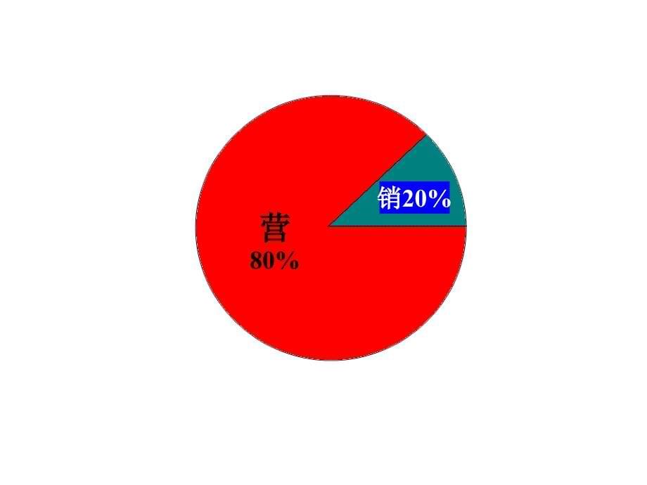 差异化营销-沈化院培训_第5页