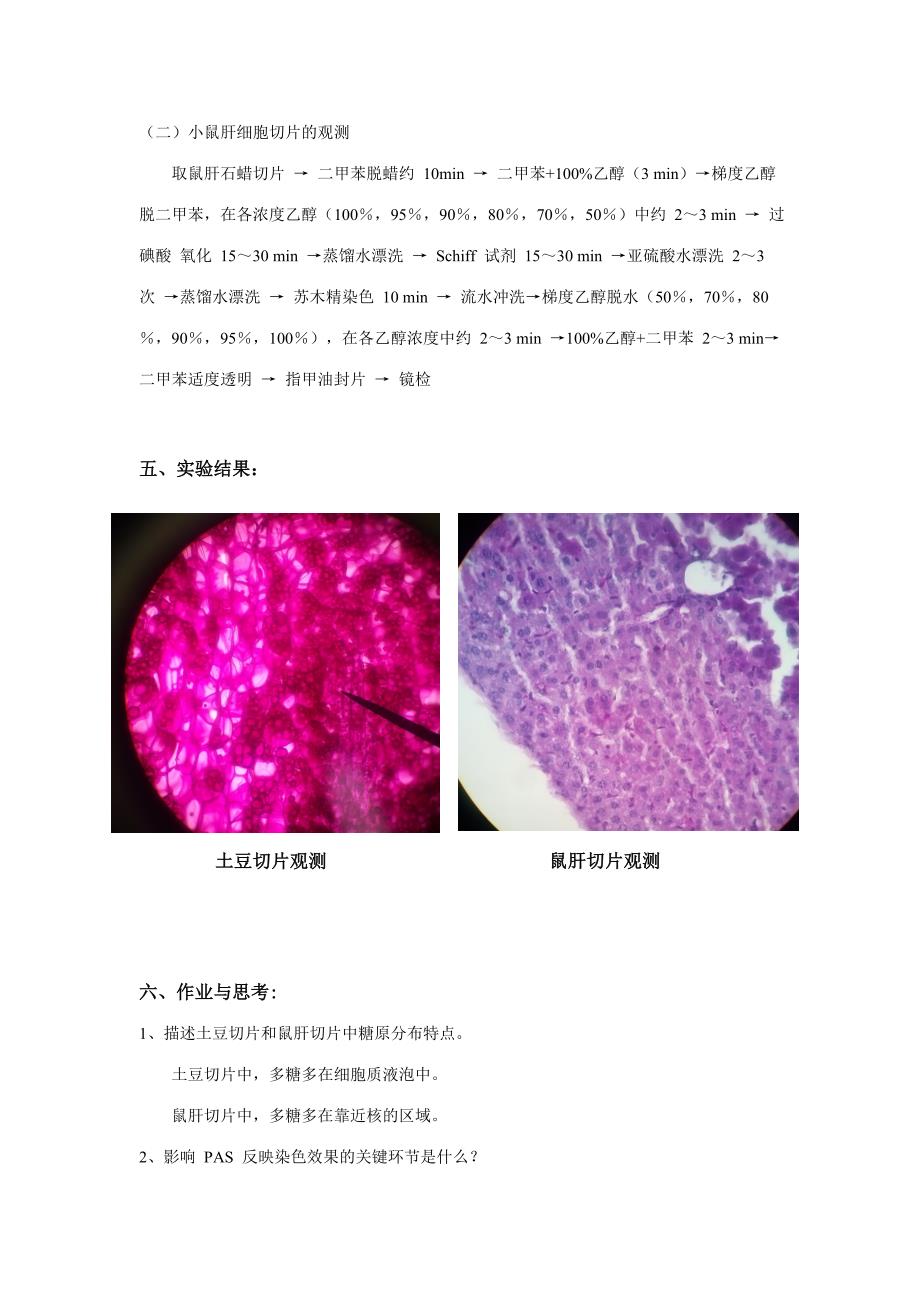 2023年细胞生物学实验报告_第4页