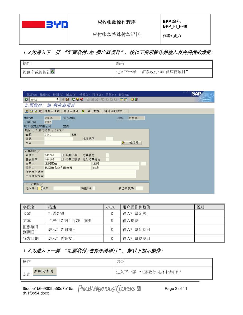BPP_FI_特殊付款记帐_第3页