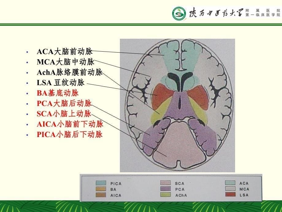 多模CT及磁共振的选择及判读(课堂PPT)_第5页