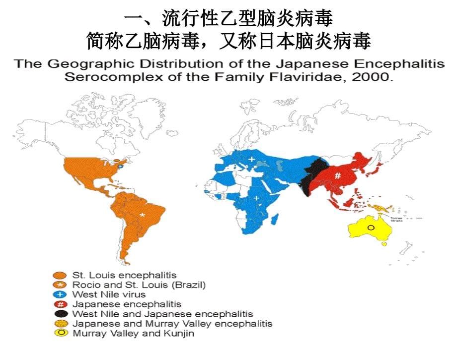 医学微生物学：27-虫媒病毒_第5页