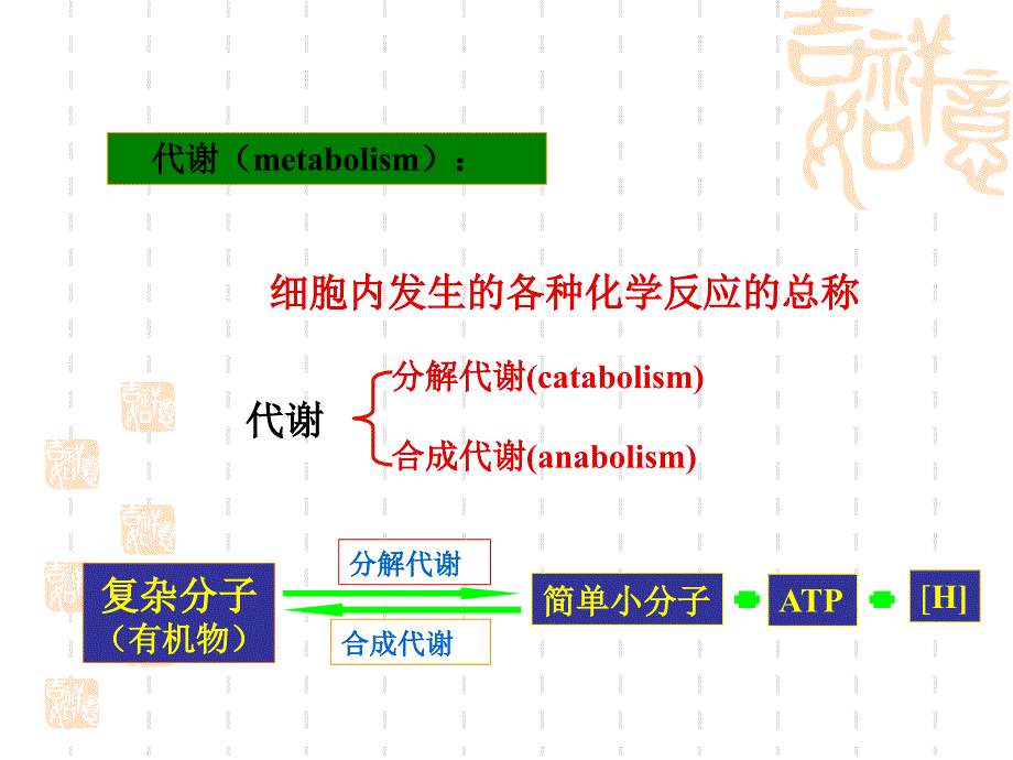 chap5微生物的新陈代谢_第2页