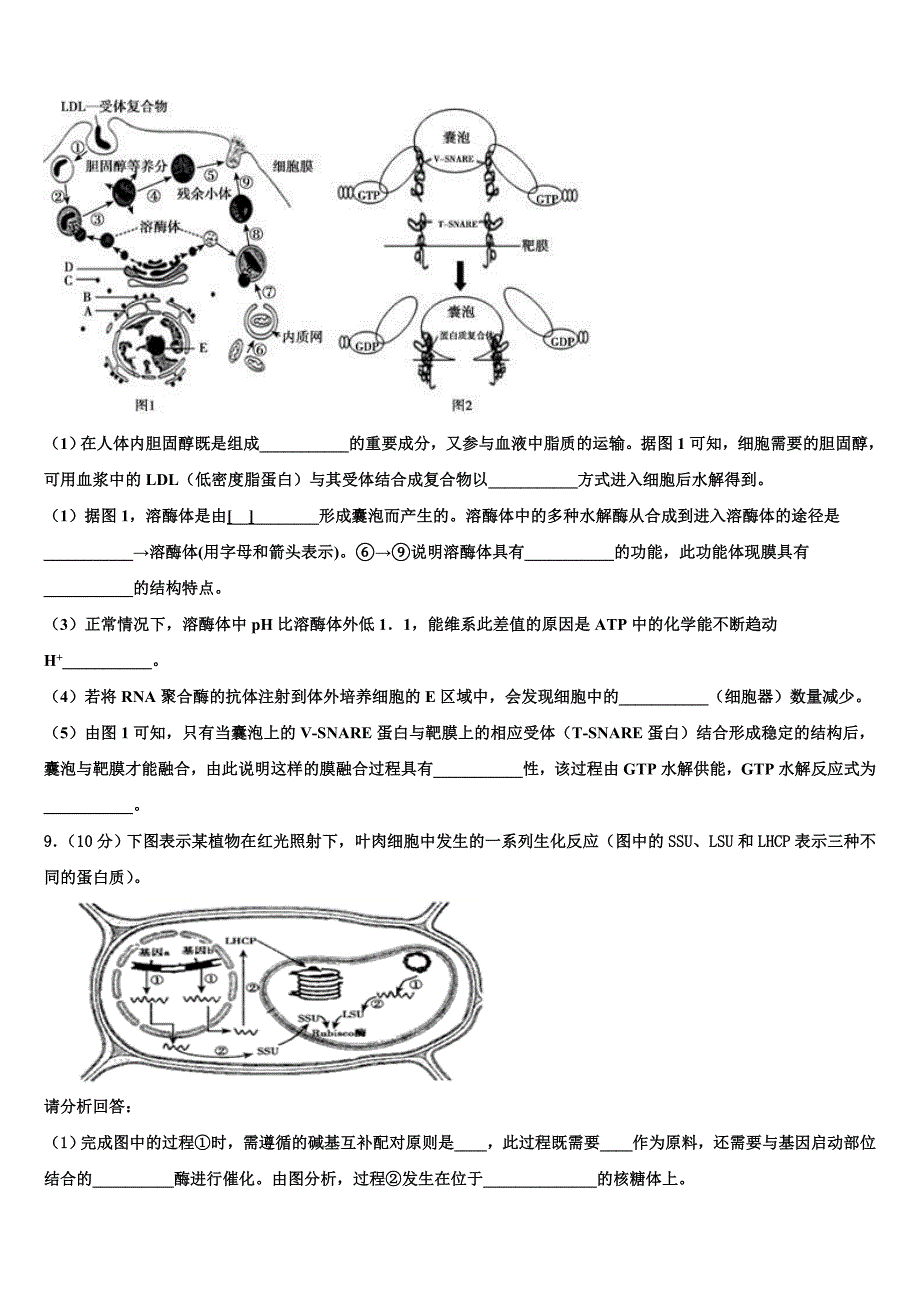 2023届广西南宁市马山县金伦中学、武鸣县华侨中学等四校生物高二下期末学业质量监测模拟试题（含解析）.doc_第4页