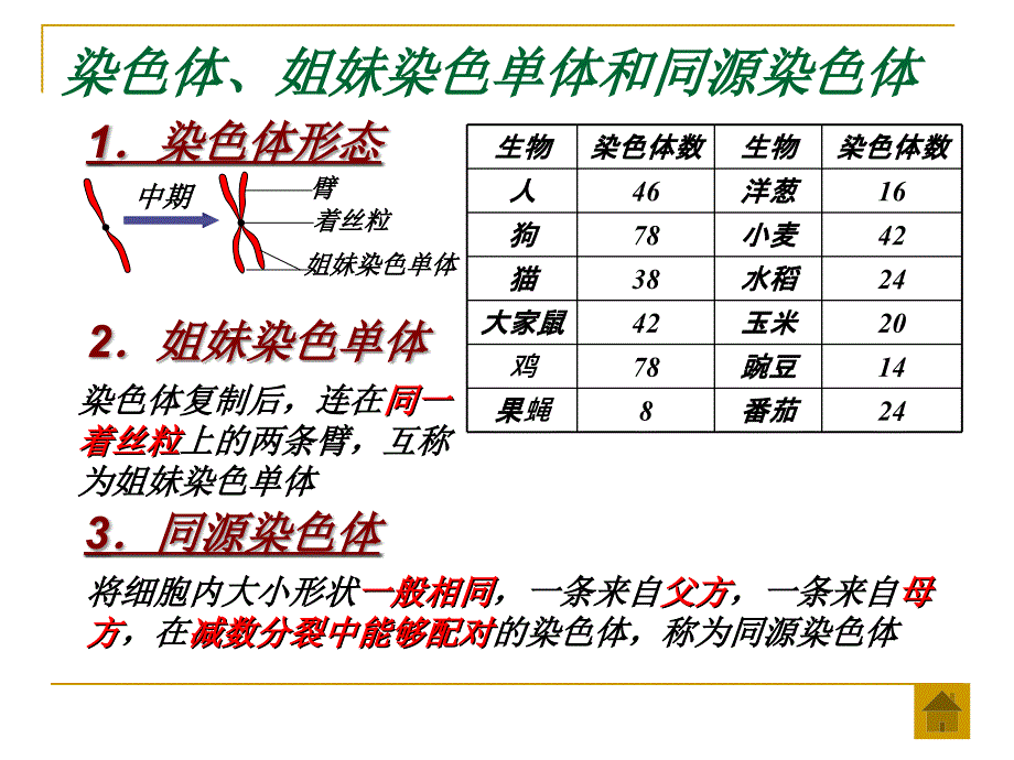 二章节染色体与遗传_第3页