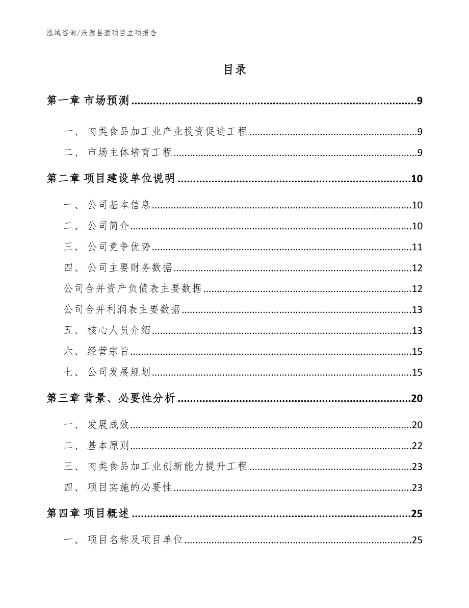 沧源县酒项目立项报告（模板范文）_第2页