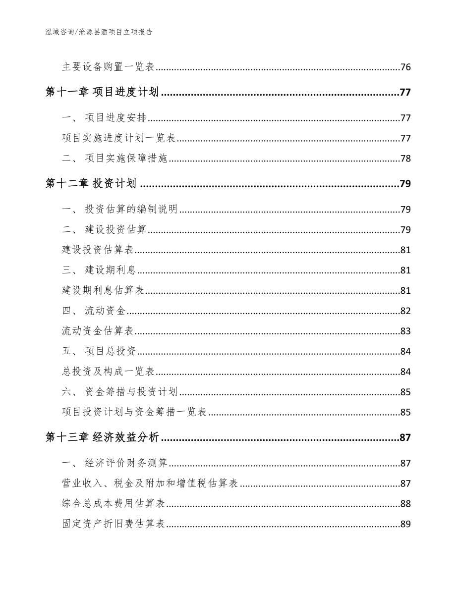 沧源县酒项目立项报告（模板范文）_第5页