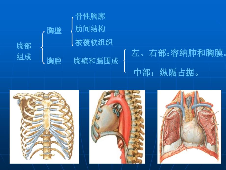 创伤血气胸的急救与护理_第3页