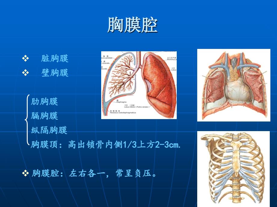 创伤血气胸的急救与护理_第4页