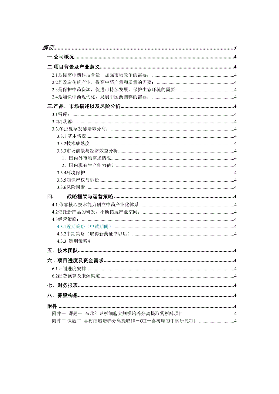 XX融资计划书()（天选打工人）.docx_第2页