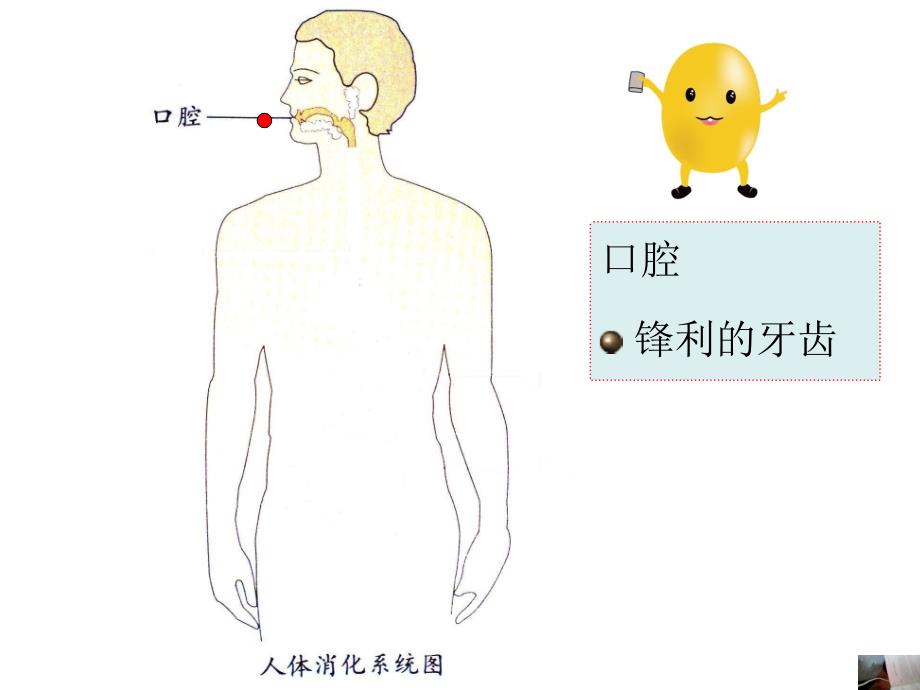 小豆子的旅行_第2页