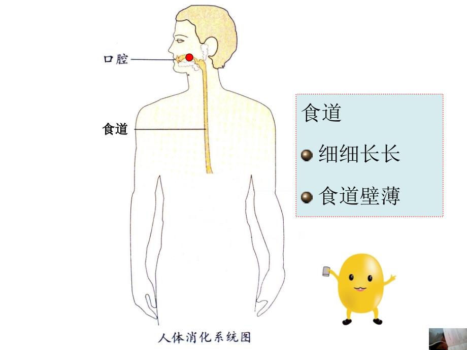 小豆子的旅行_第3页