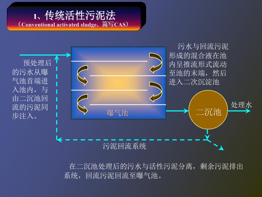 活性污泥法课堂_第3页