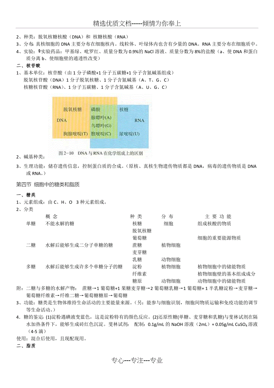 高中生物必修一知识点总结(人教版)(共10页)_第3页