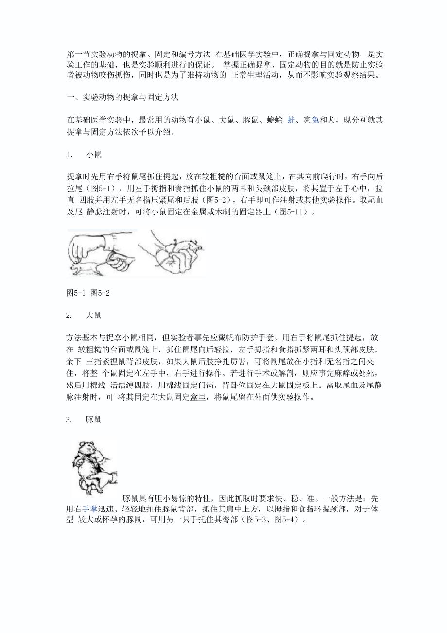 动物实验的基本操作_第1页